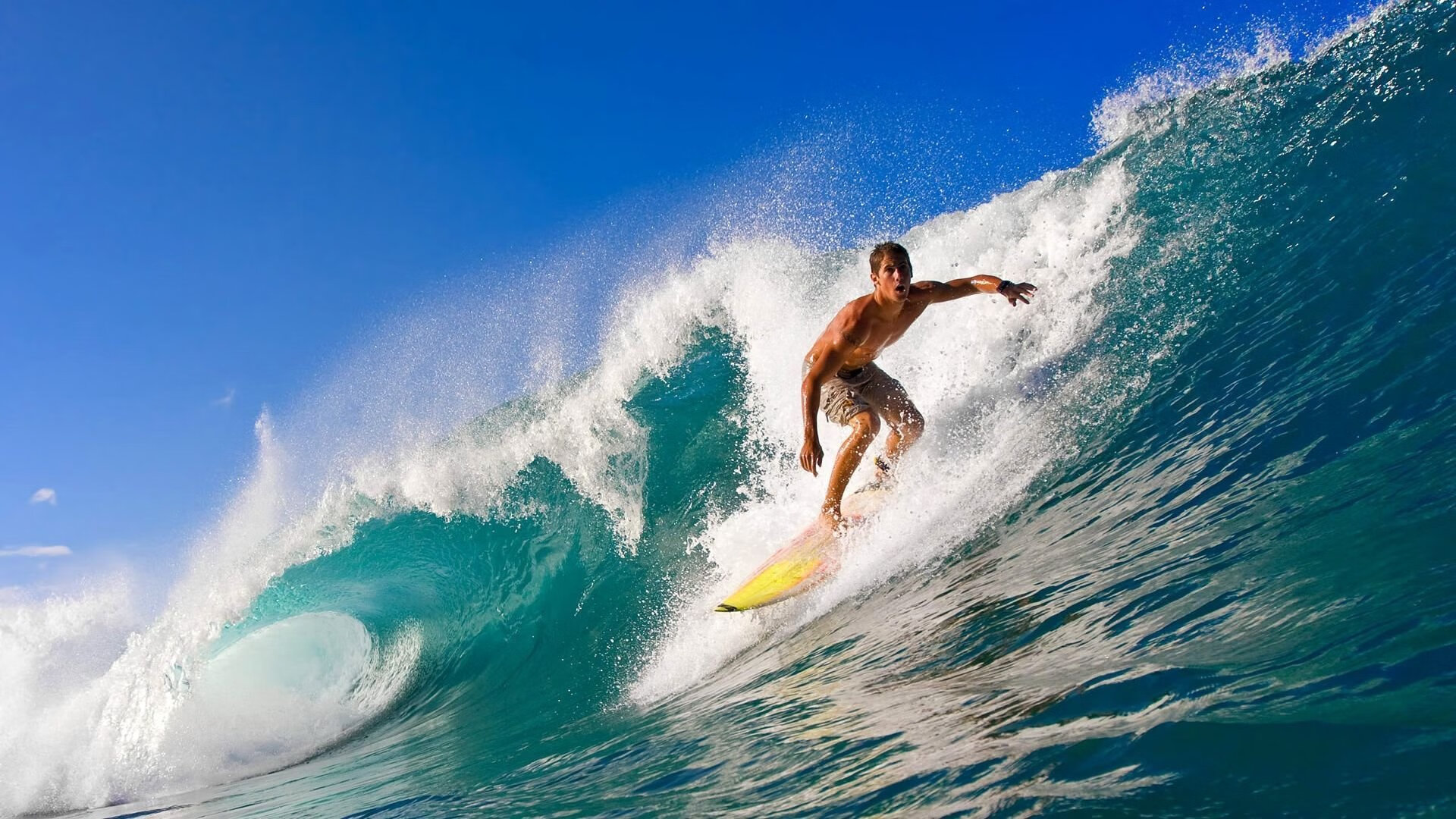 体育新闻中心推动体育赛事社交媒体互动升级,体育赛事媒体服务