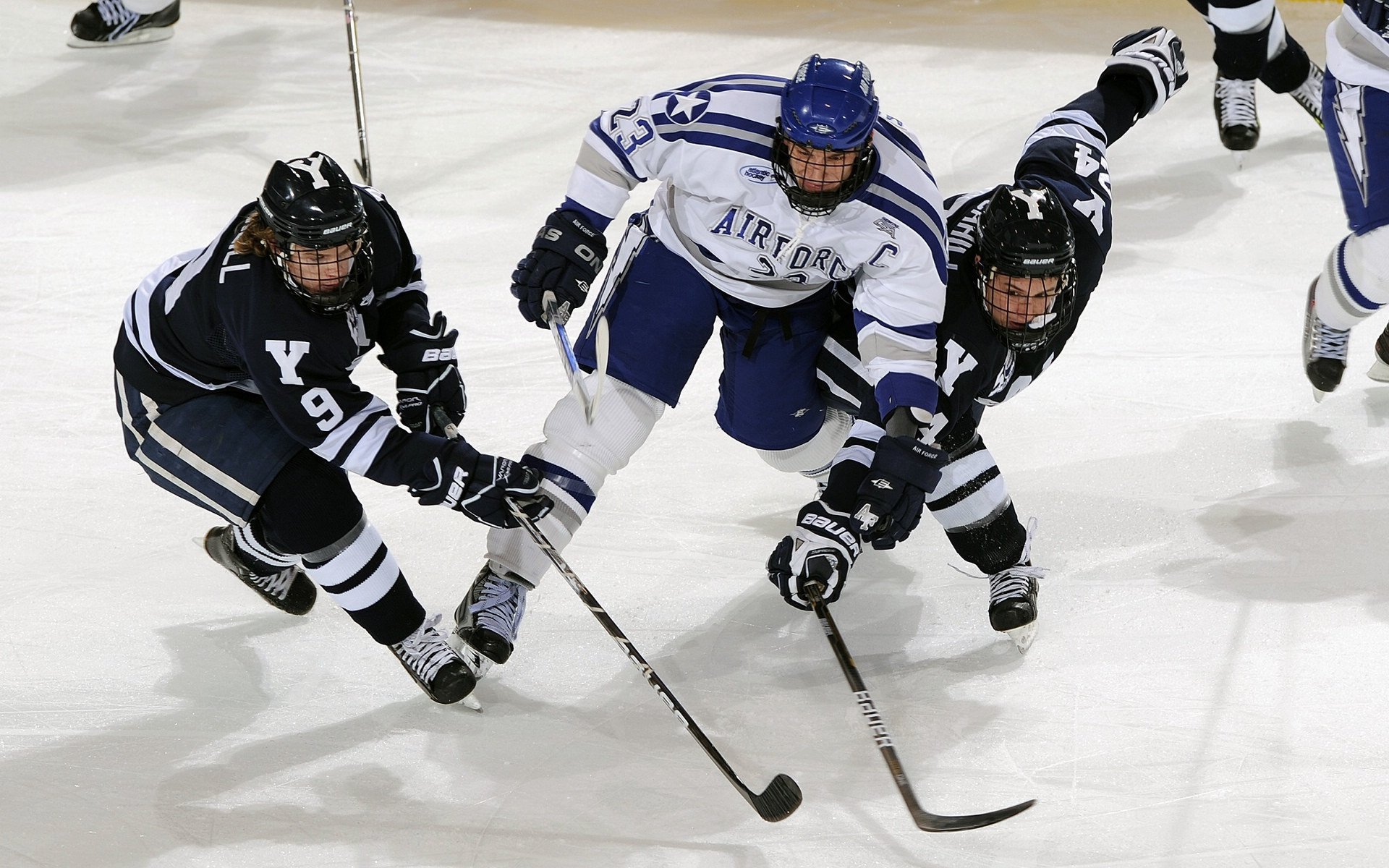 新西兰男子橄榄球队的年轻力量逐渐崭露头角，新西兰橄榄球队徽