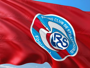 荷兰队在欧洲预赛中继续保持领先优势